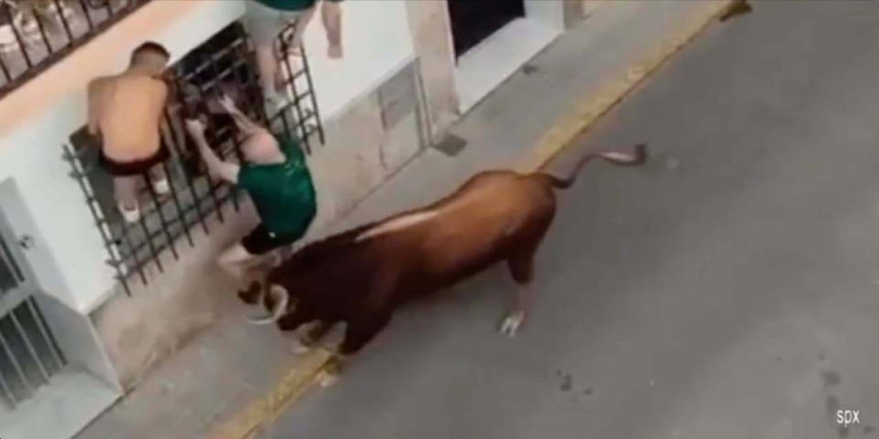 boga festivaline katilan kisi boynuzlanarak can verdi FzPbTWcM