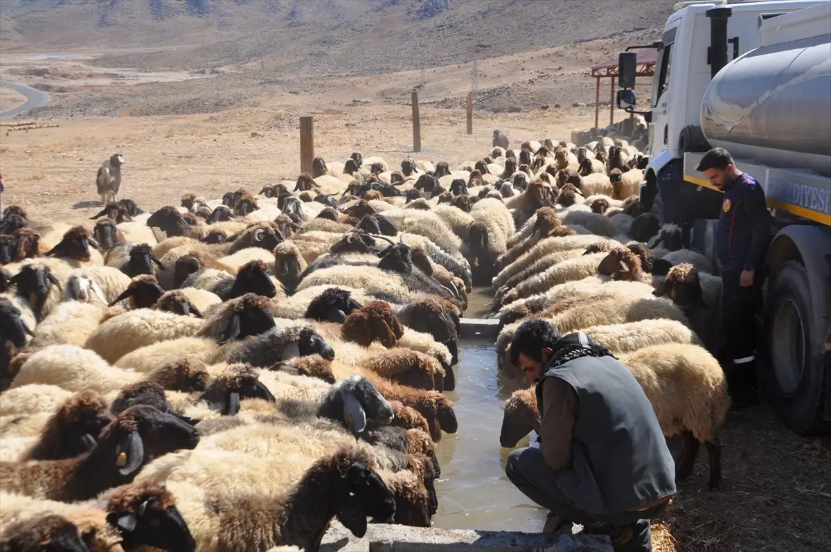 hizanda susuzluk sorunu cozuldu uXIeCKkt