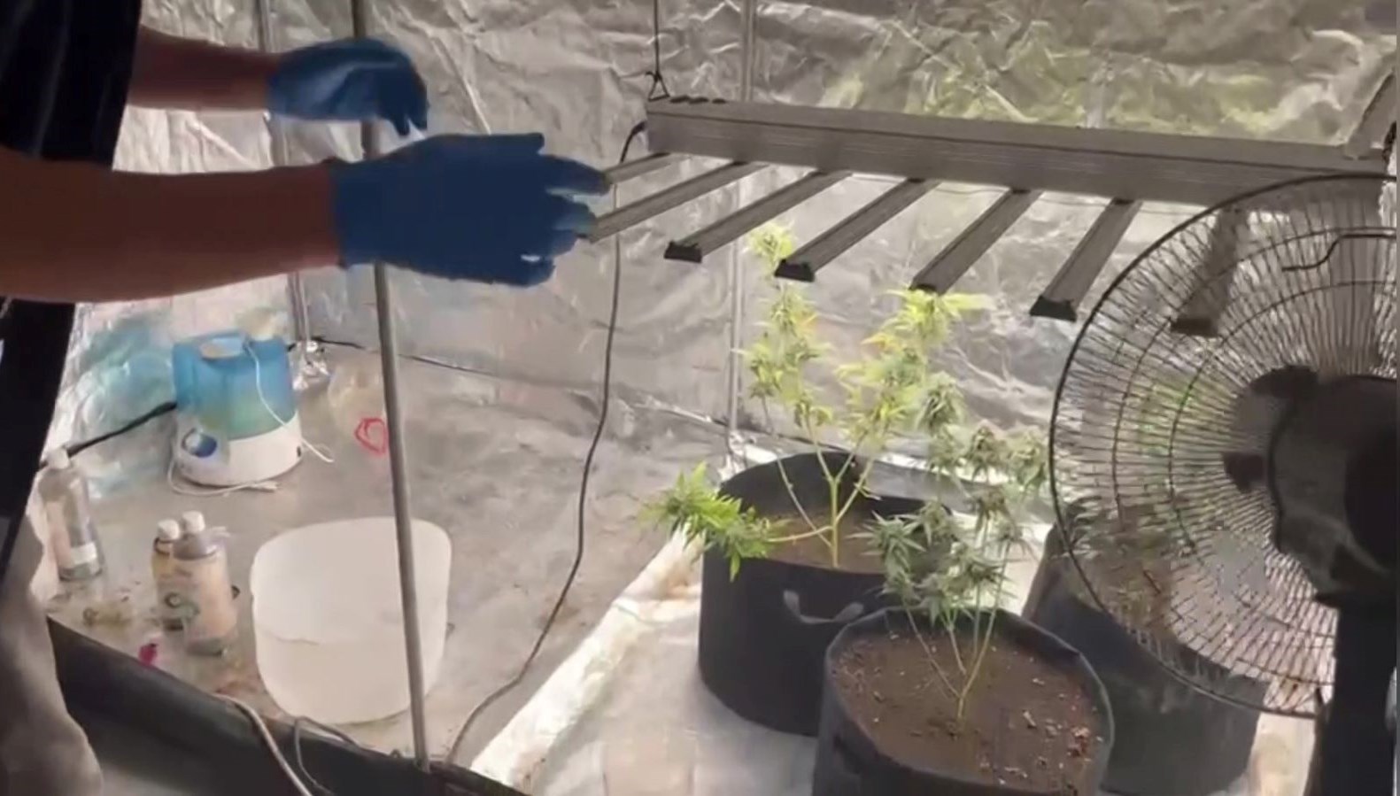 malatyada kilolarca kenevir ele gecirildi fsJYa24F