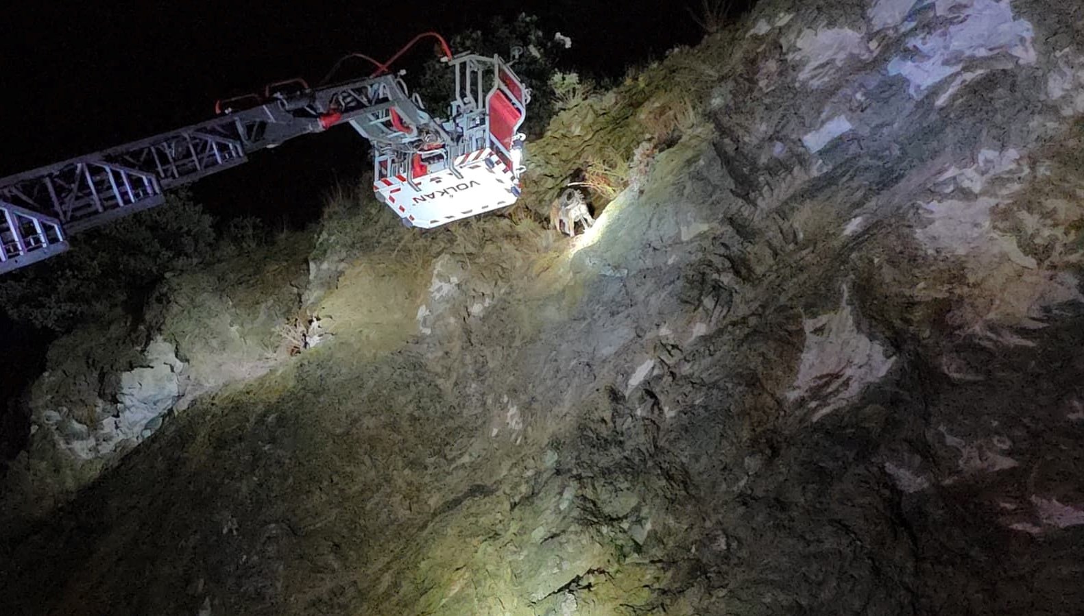 ucurumun ortasinda mahsur kalan kopege itfaiye yetisti 76aRfq7C.jpg