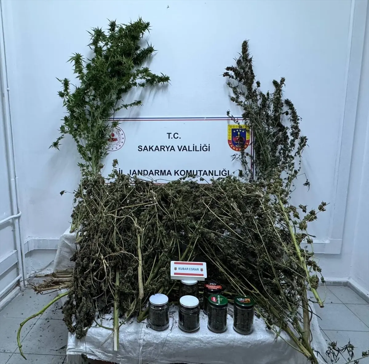 uyusturucu operasyonunda 2 tutuklama jPTBmQ2B.jpg