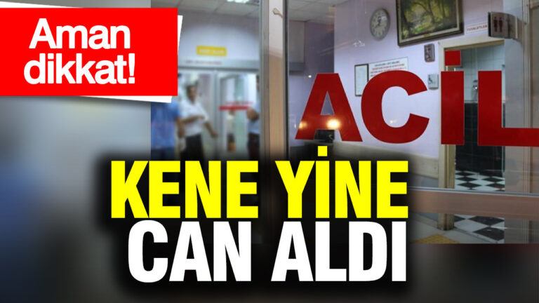 aman-dikkat-kene-yine-can-aldi-eMtjIMLI