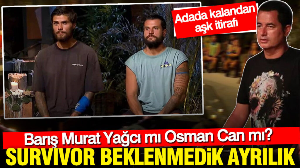 İzmir’de Veteriner Hekim Tutuklandı: 33 Kedi Cansız Bulundu