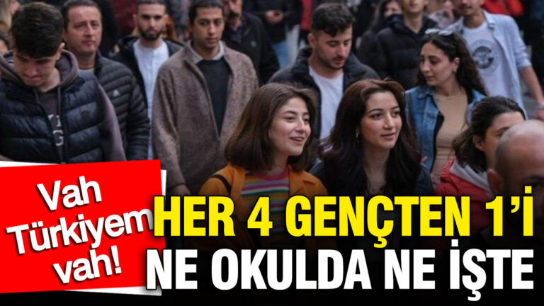 tuikin-istatistiklerle-genclik-2025-raporu-her-4-gencten-1i-ne-okulda-ne-iste-scqayXOm