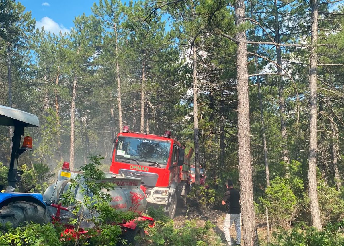 Tavşanlı’da Yıldırım Yangın Çıkardı